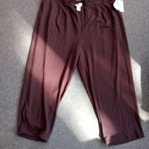 3X Brown Pants Maggie Barnes Petites NWT